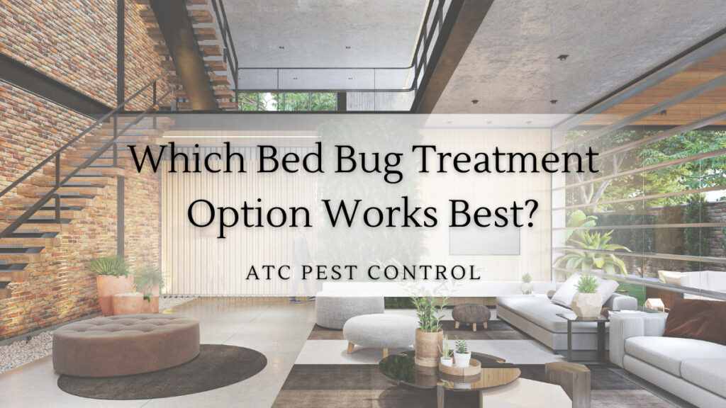 Which Bed Bug Treatment Option Works Best - ATC Pest Control